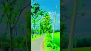 ভাইরাল গজল । 1M islamicstatus islamic islam viralvideo islamicshorts banglagojolbhalobhalo [upl. by Spratt]