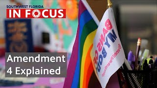 Amendment 4 explained  Southwest Florida In Focus  WGCU News [upl. by Rory653]