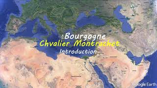 Chevalier Montrachet Grand Cru French wine map  Wine study [upl. by Naesar]