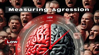 Aggression Scale by Km Roma Pal amp Mrs Tasneem Naqvi [upl. by Poirer]