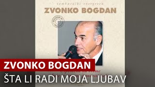 Zvonko Bogdan  Šta Li Radi Moja Ljubav  Vojvodina Music Official [upl. by Rhonda]