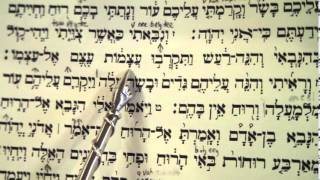 Haftorah Haftarah Reading Passover Shabbat Chol Hamoed הפטרה שבת חול המועד פסח [upl. by Eenahpets255]