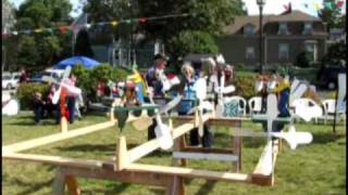 Whirligig Festival 2009 [upl. by Suryt]