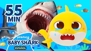 TODOS Los Cuentos para niños  Los mejores cuentos cortos  Mix  Baby Shark en español [upl. by Eniortna915]