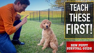 NEW PUPPY SURVIVAL GUIDE The FIRST Things to Teach Your NEW PUPPY EP 3 [upl. by Attena]