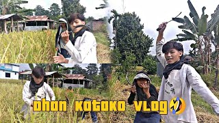 Dhan katako vlog🤣 [upl. by Primo98]