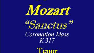 MozartSanctusK317Tenor [upl. by Remmos485]