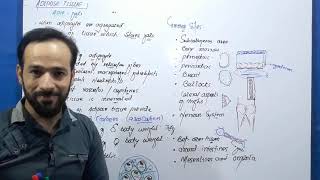 Adipose Tissue  Types of Adipose Tissue  Connective tissues  Part1 [upl. by Albina]