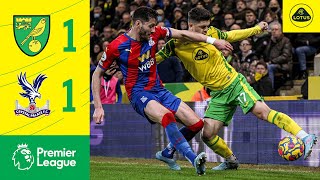 HIGHLIGHTS  Norwich City 11 Crystal Palace [upl. by Ymor]