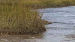 St Johns River  Timucuan Preserve  History Culture and Nature [upl. by Tooley]