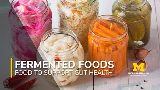 Foods to Support Gut Health Series Fermented Foods [upl. by Elaen]