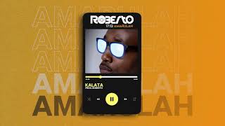 Roberto  Kalata Official Audio [upl. by Nuzzi]