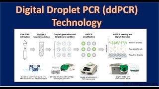 Did You Know that BioRad Offers an Expansive Menu of Oncology Assays Designed amp Optimized for ddPCR [upl. by Tannenwald920]