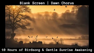 Dawn Chorus 10 Hours of Birdsong amp Gentle Sunrise Awakening [upl. by Attegroeg434]