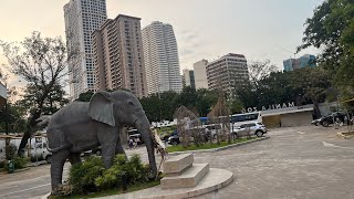 Going to manila zoo [upl. by Ignatia]