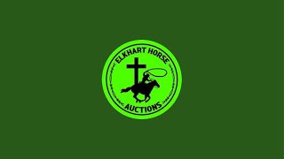 Elkhart Horse Auctions is live [upl. by Daile940]