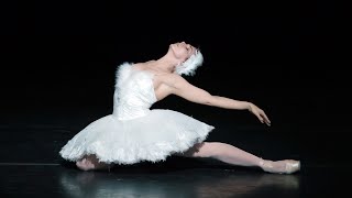 The Dying Swan – Natalia Osipova The Royal Ballet [upl. by Lebezej]