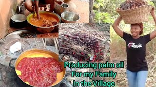 How to Produce Palm Oilvillage vlog [upl. by Airetnohs]