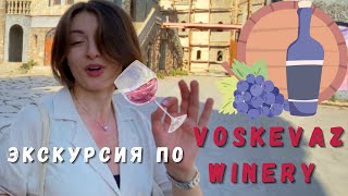 Винодельня Voskevaz  Дегустация армянского вина  Vlog  Shushan Vlogs [upl. by Nahshunn]