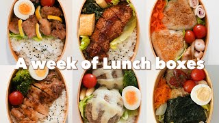 quotPack husband’s lunchbox with me🧸quot compilation  Bento ASMR  A week of Husband’s Lunchboxes [upl. by Ahsenit]