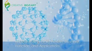 Understanding CCR2 Protein Structure Function and Applications [upl. by Neirad]