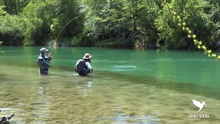 Rio Cochrane Chile Pesca con Mosca Secas FlyfishingTour con Green Baker Lodge Aguas Arriba T15E6 [upl. by Ahsercel468]