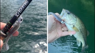 bassfishing small finesse swimbait on Gloomis swimbait rod 862 swbr  Lake Woodcreek London Ky [upl. by Erina196]