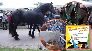 de BEROEMDE paardenmarkt ZUIDLAREN 171023 vlog138 [upl. by Johen710]