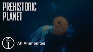 All Ammonites in Prehistoric Planet [upl. by Eisor]