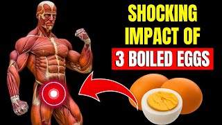 I Ate 3 Boiled Eggs Every Day and This Happened to My Body  HYPERTROPHIED BODY [upl. by Claude]