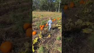 We went to the farm today To pick up some pumpkinsshorts [upl. by Notyard]