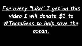 For every Like I get on this video I will donate 1 to TeamSeas [upl. by Ancel]