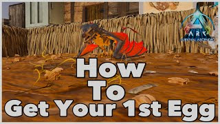 How To Get A Wyvern Egg With An ARGENTAVIS Earlygame ARK [upl. by Enirtak257]