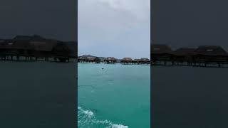 This is the BEST Bora Bora resort for LUXURY leisure travelers [upl. by Severn]