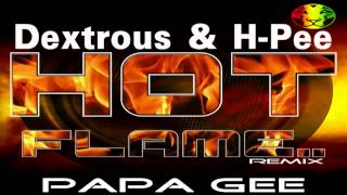 Hot Flame  Dj Dextrous amp H Pee  Papa G Remix  RIQ YARDROCK RECORDS [upl. by Kerat]