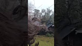 Hurricane Helene storms through Augusta Georgia and cuts our house in half hurricaneHelene [upl. by Rossy]