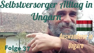 Selbstversorger Alltag in Ungarn 37 ungeschnitten Auswanderer in Ungarn [upl. by Ardekan]