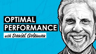 Sustainable Excellence w Daniel Goleman RWH039 [upl. by Nnalyrehc]