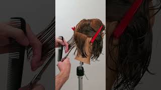 One Length Bob Haircut Texturizing using a Razor vs Scissor See the Differences shorts short [upl. by Vergos]