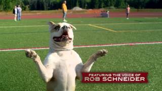 PUPS UNITED Official Trailer 2015  Rob Schneider [upl. by Ameer]