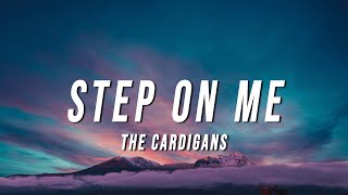 The Cardigans  Step On Me Lyrics [upl. by Aydiv365]