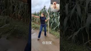 Jia Mier Funny Interesting and humorous rural stories Bring positive things to you every day 272 [upl. by Kokaras]