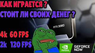 GEFORCE NOW RTX 3080 ЕВРОПА КАК ОПЛАТИТЬ И ИГРАТЬ В РОССИИ [upl. by Letnahs]