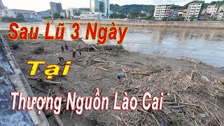 Cập nhật nước sông hồng thượng nguồn Lào Cai sau ĐẠI HỒNG THỦY lịch sử [upl. by Gennie529]