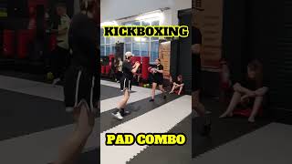 Dynamic Kickboxing Pad Combo Teaching in Class [upl. by Dorweiler851]