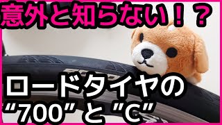 【保存版！】タイヤの700cって何なん？知ればロードバイクがもっと楽しくなる豆知識。reels viral UCIルール fuji grandprix 自転車 メンテナンス [upl. by Yensehc]