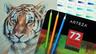 ARTEZA Expert Coloured Pencil Review amp Demo [upl. by Lind]