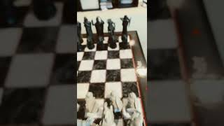 Harry Potter chess set D [upl. by Yttel790]