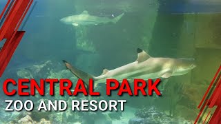 Central Park Zoo and Resort  Bermain dan Belajar [upl. by Enylrac]