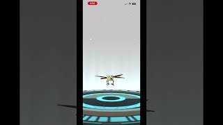 Evolving Trapinch Shiny to Vibrava Shiny  Pokémon Go [upl. by Kiersten501]